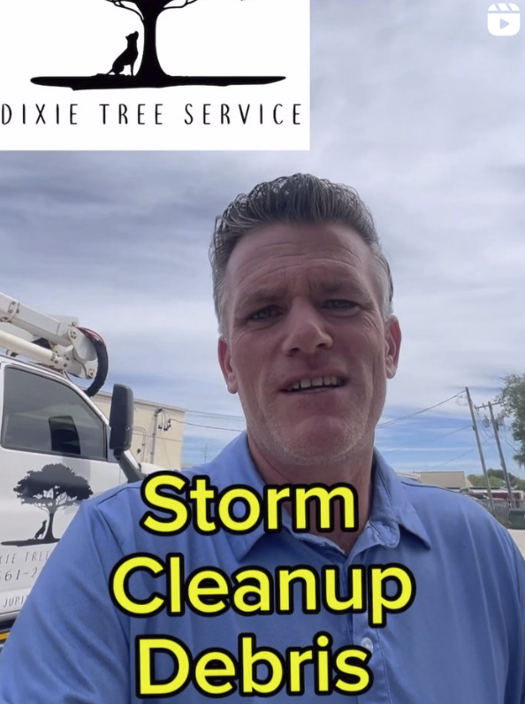 Your24 Property Services in Jupiter, Tequesta
